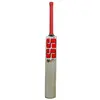 SS Sky Super Kashmir Willow Cricket Bat front