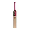 SS Gladiator Kashmir Willow Cricket Bat front