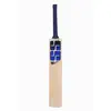 SS SKY Player Junior English Willow Cricket Bat