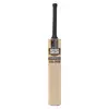 SS VA-900 Ruby Kashmir Willow Cricket Bat front