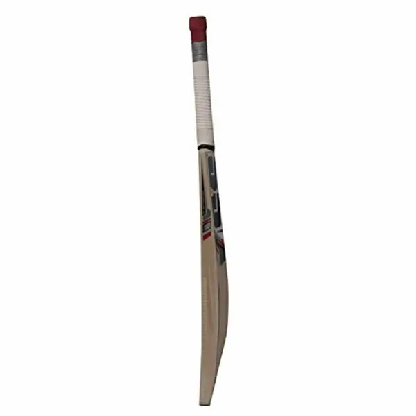 SS 281 Kashmir Willow Junior Cricket Bat side